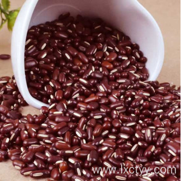 adzuki beans tea food